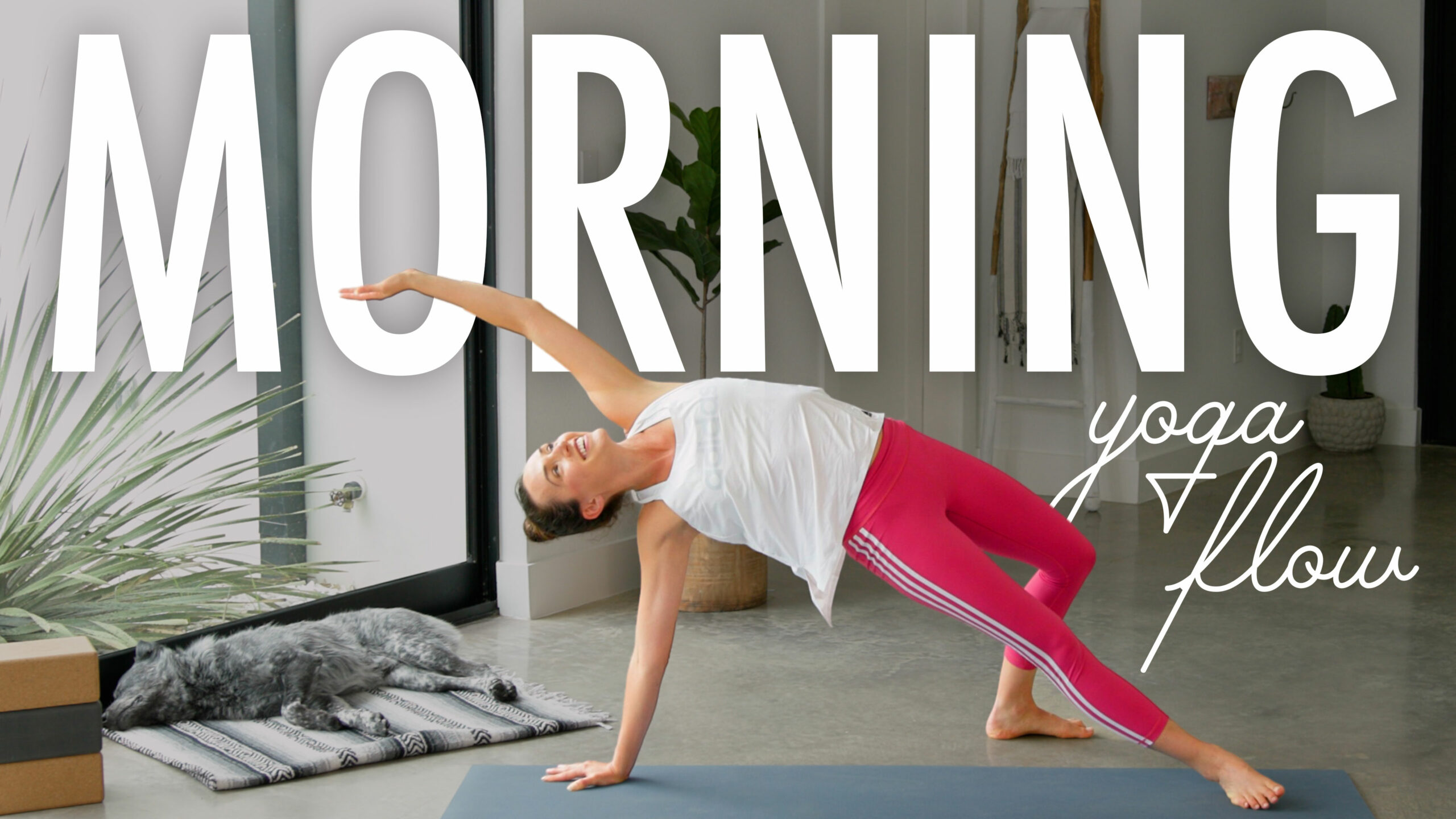 Morning Yoga Flow  Yoga With Adriene