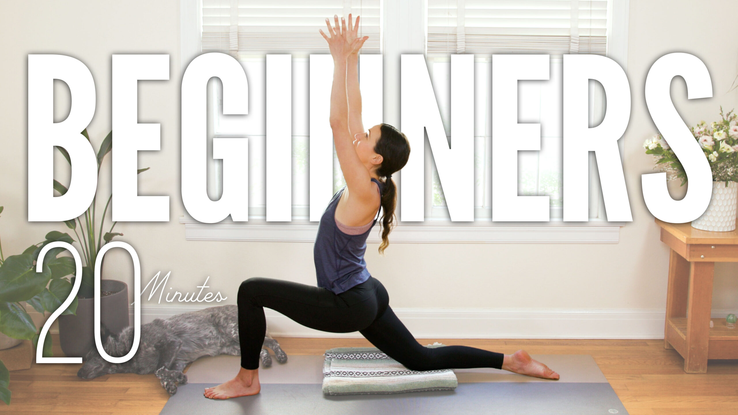 Yoga For Beginners - 20 Minute Practice